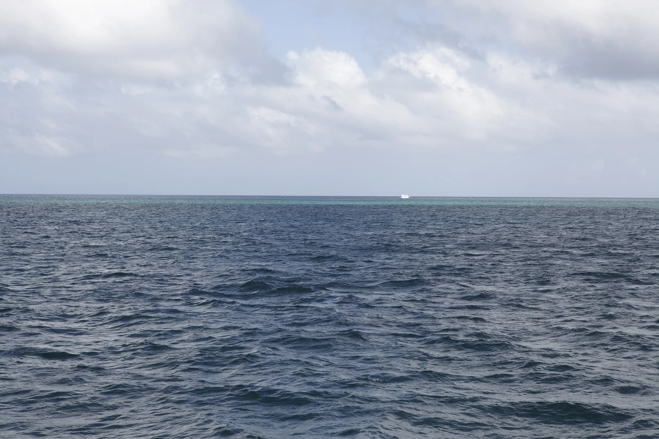 _MG_7878.jpg