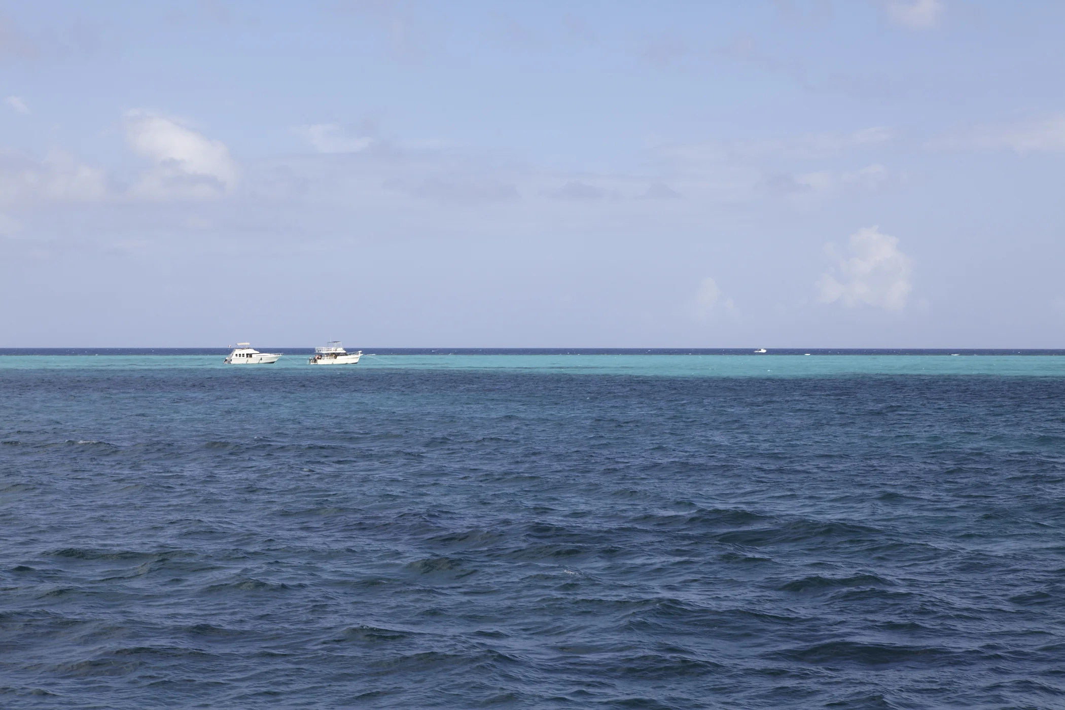 _MG_7895.jpg