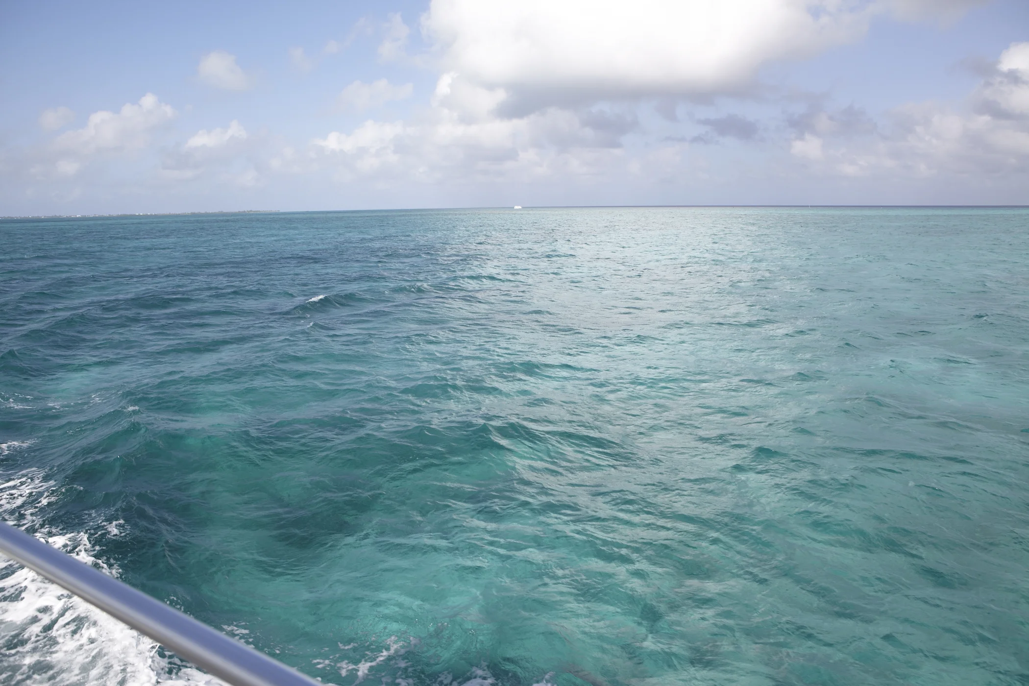 _MG_7893.jpg