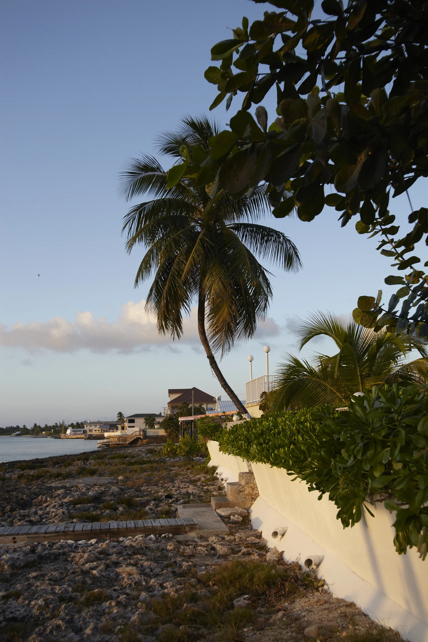 _MG_7984.jpg