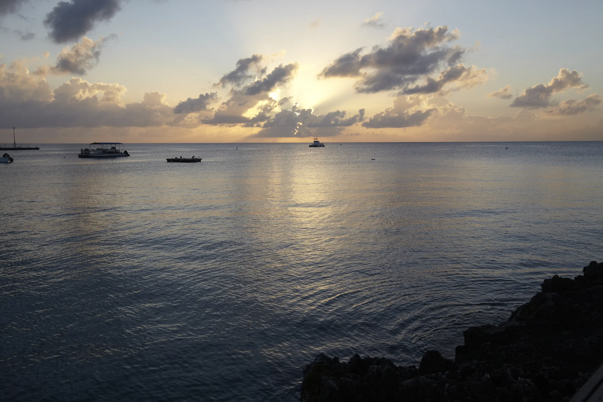 _MG_7993.jpg