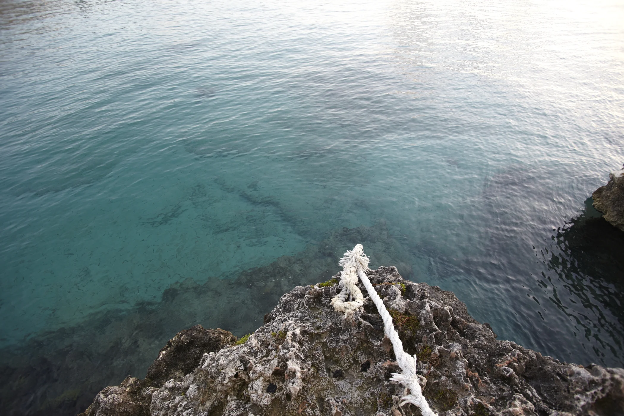 _MG_7995.jpg
