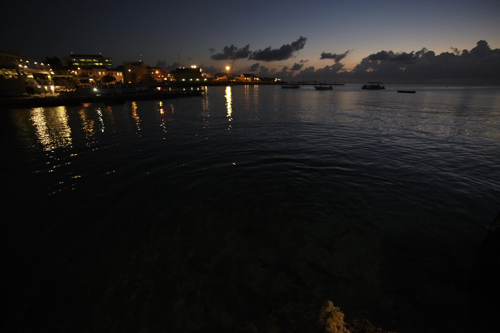 _MG_8020.jpg
