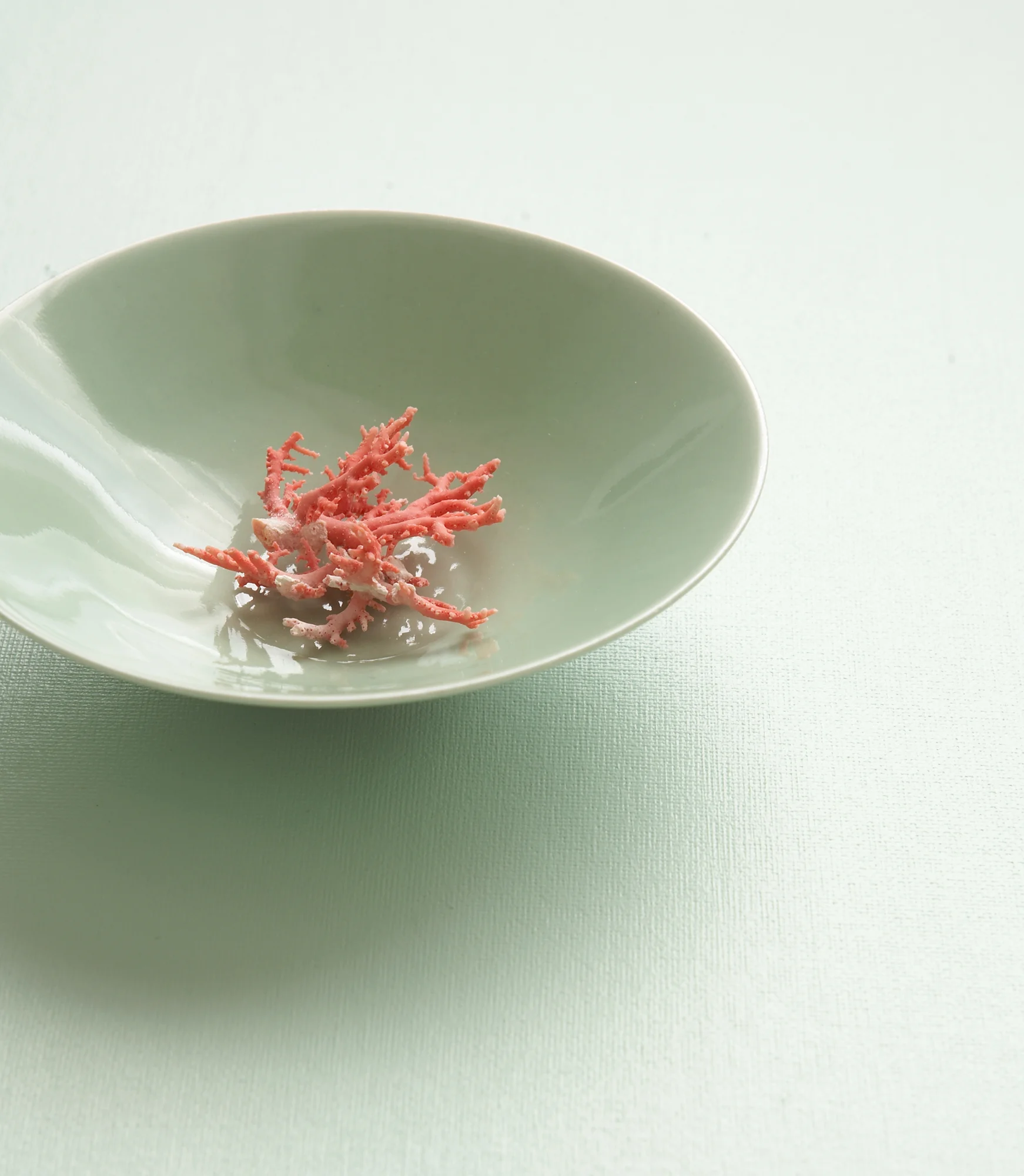Green&Coral_015.jpg