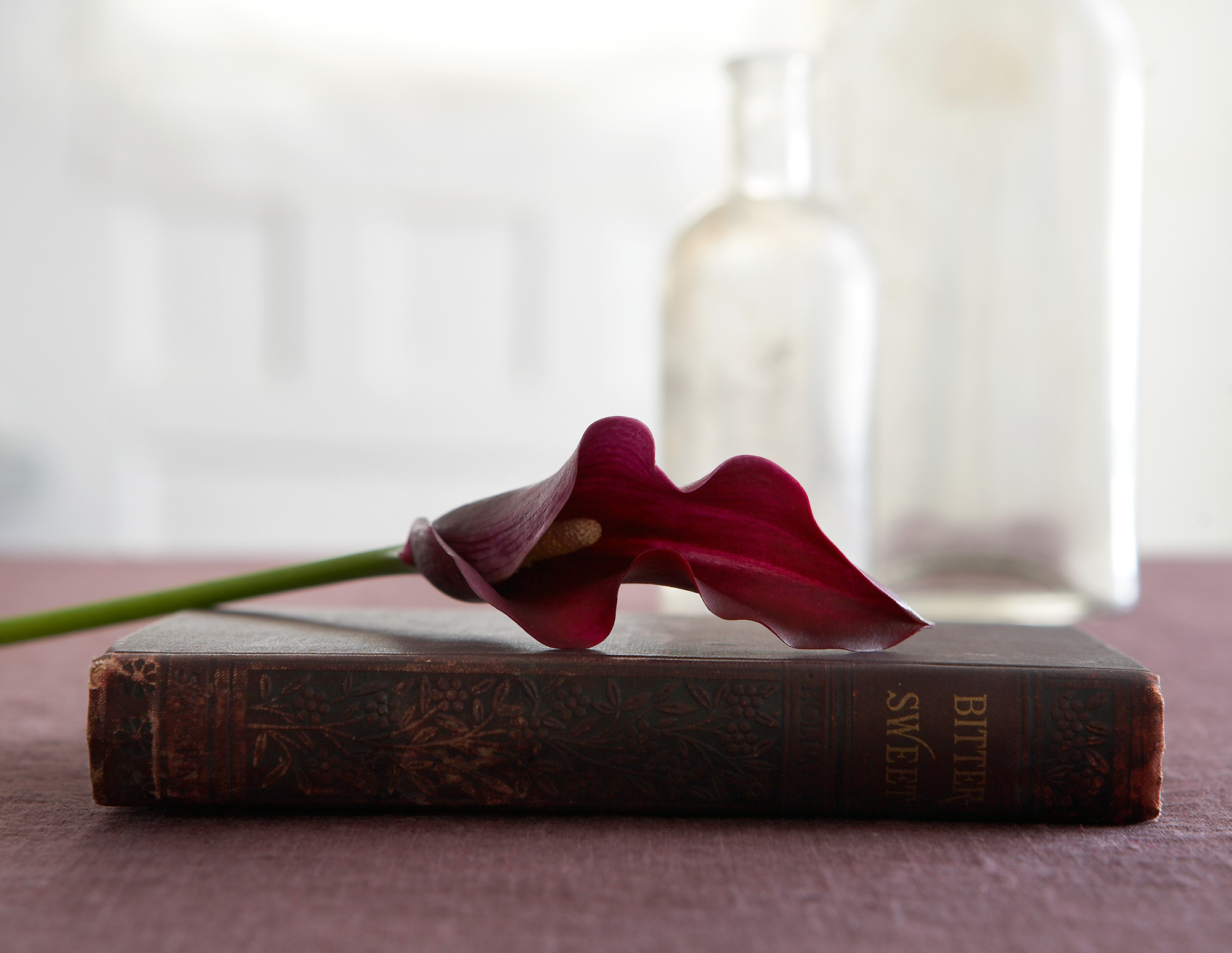 PurpleLilies&Book_011.jpg