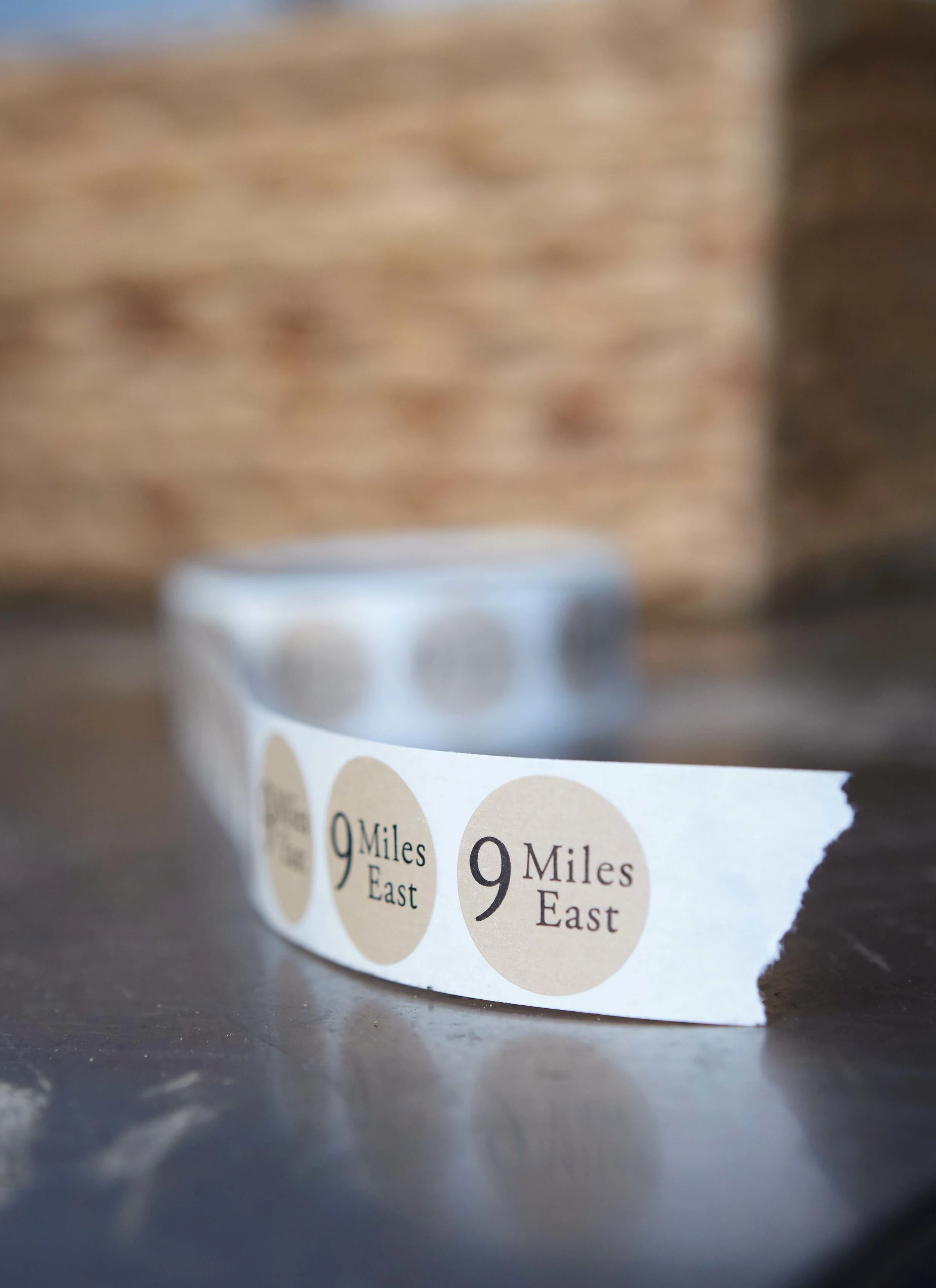 Brie-Passano_2016-11-27-9MilesEast_179.jpg