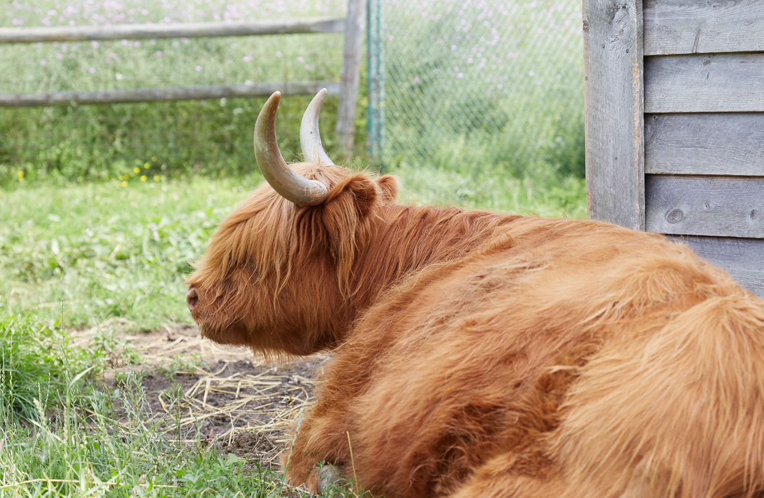 Indian Ladder Farm