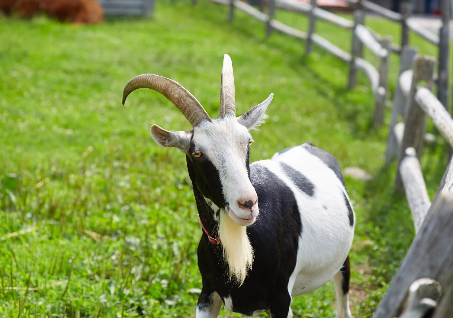Indian Ladder Farm
