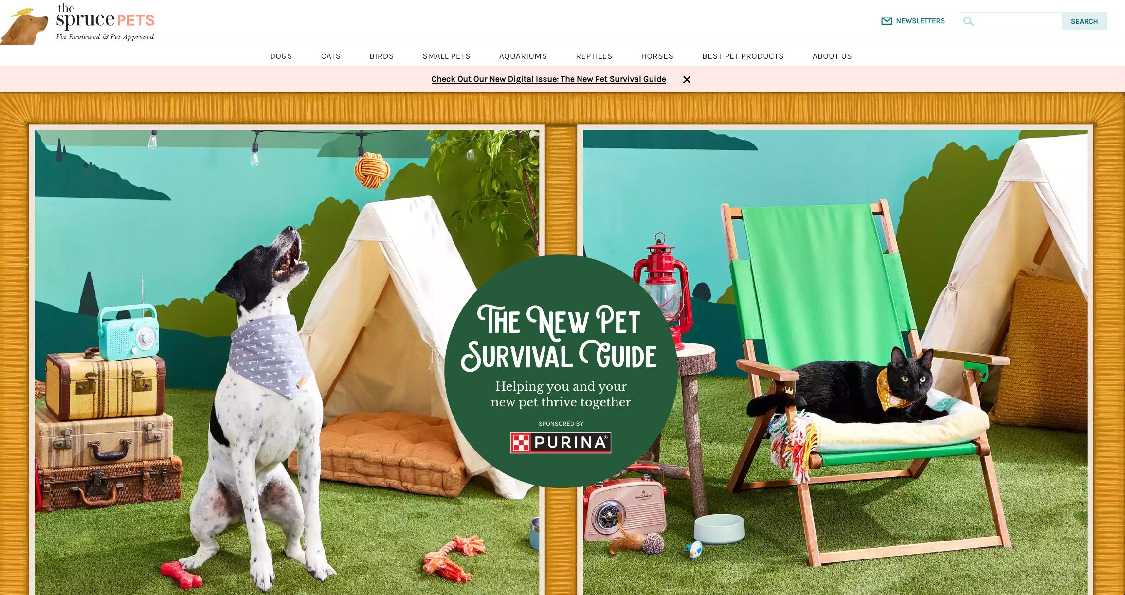 SprucePets_LandingPage_WEB.jpg