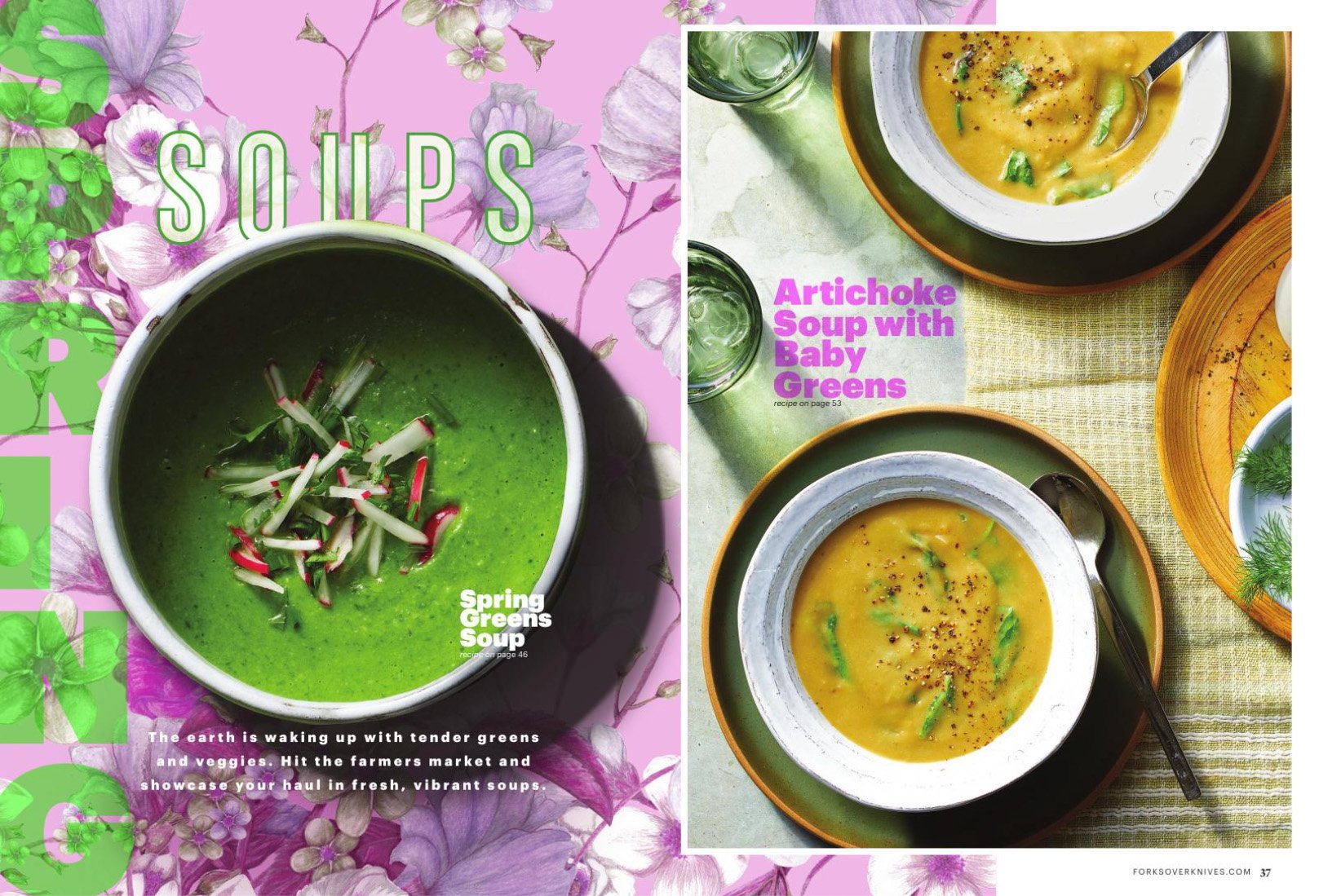 FOK_SoupsStews_Spring_WEB.jpg