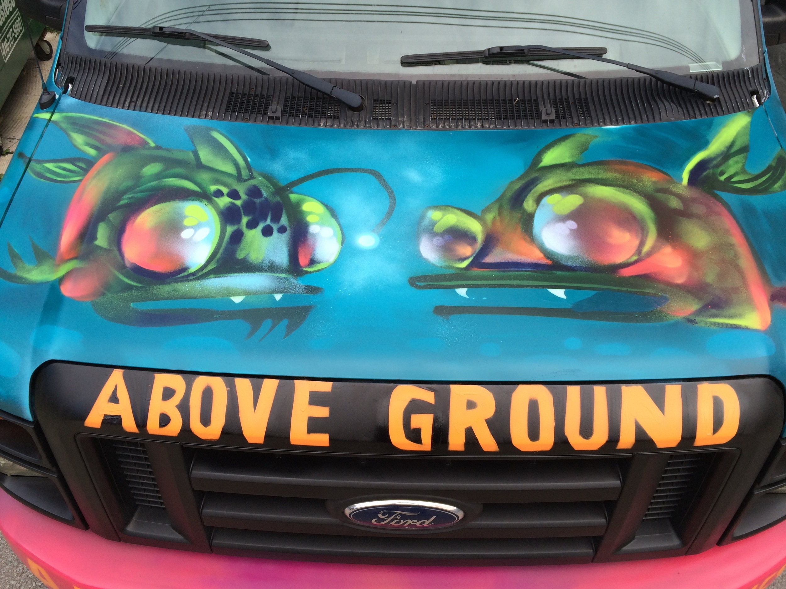 Above Ground Van