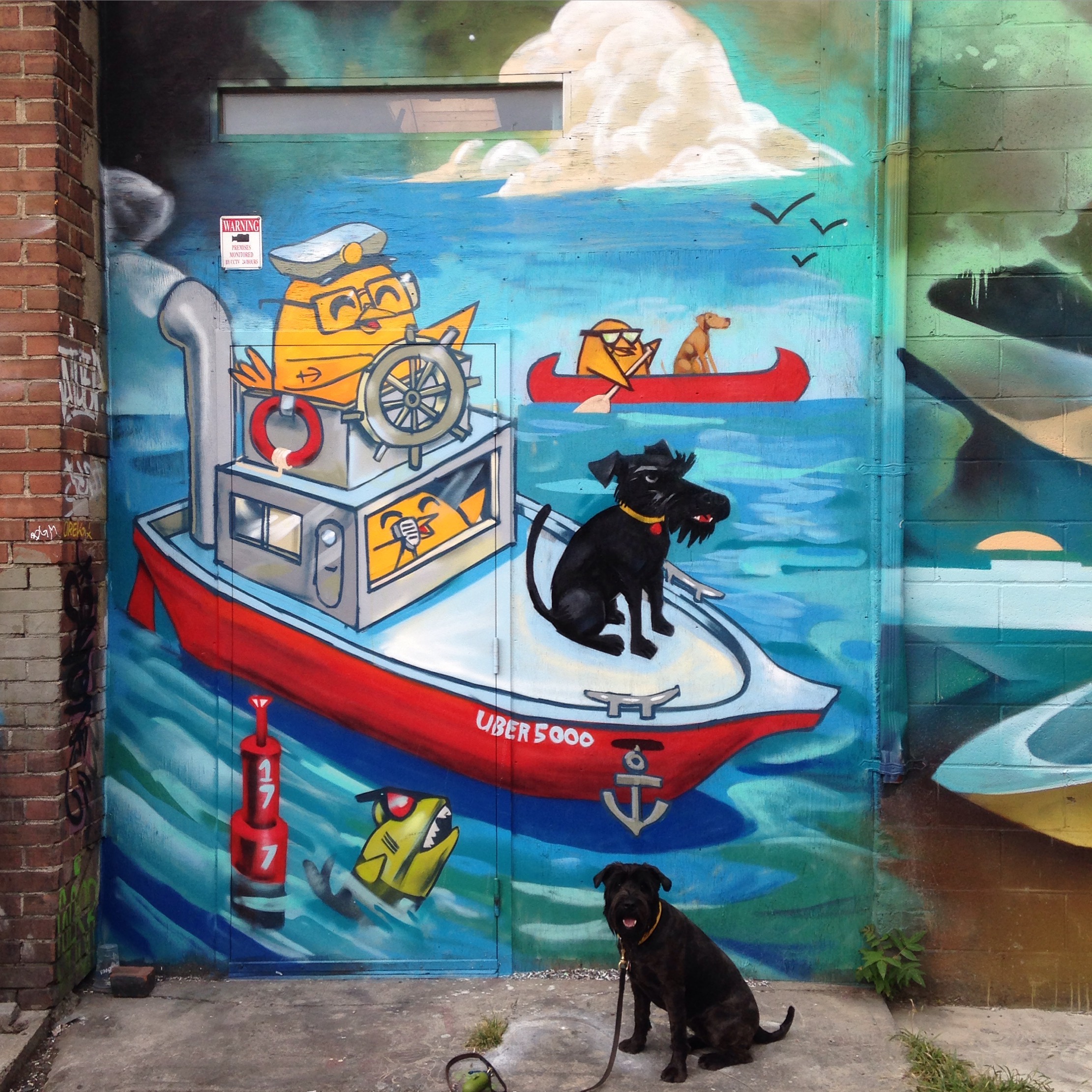 DogBoat
