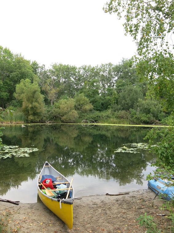 This is the landing spot by the grassy area. Turtles chill on the far side.
