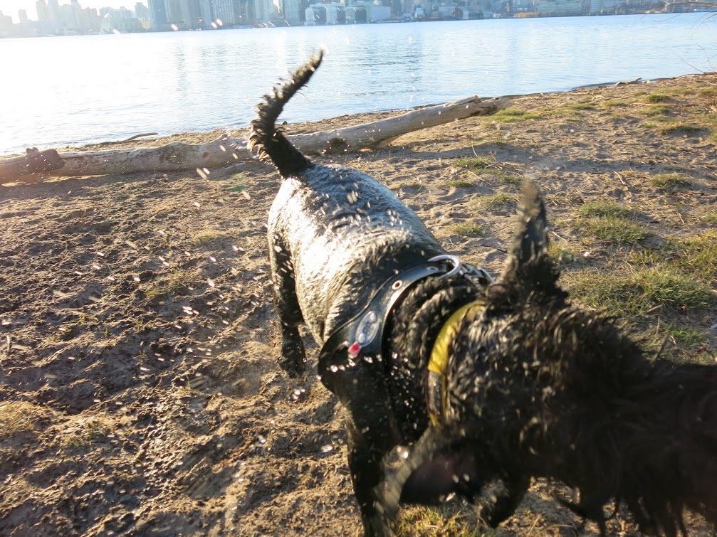 Swimming!