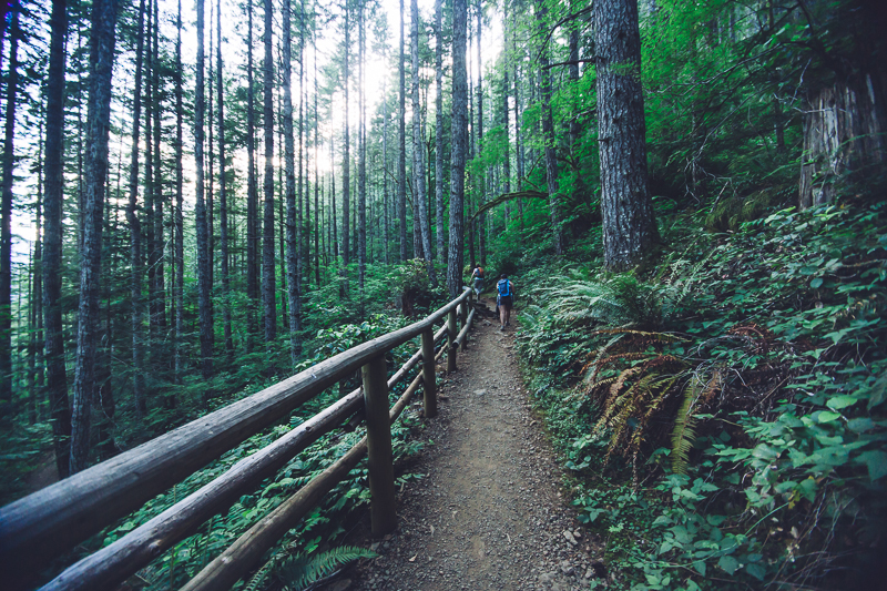 Now I live here, in the grand PNW. A different beauty than Southern California, for sure. Both places have played a role in shaping my perception of beauty and sense of self. My perfect utopia would be the warmth and beaches of SoCal with green views like this. #keepdreaming