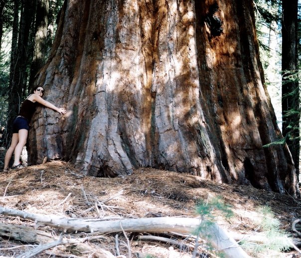 I'm a low key hippie. I like organic things, and granola, and wilderness. I try not to squish bugs. Sometimes, I hug trees. I recycle. I drink out of mason jars and grow my own food. (Disclaimer: I still use AEROSOL HAIRSPRAY. I'm sorry, planet. I'm sorry.)
