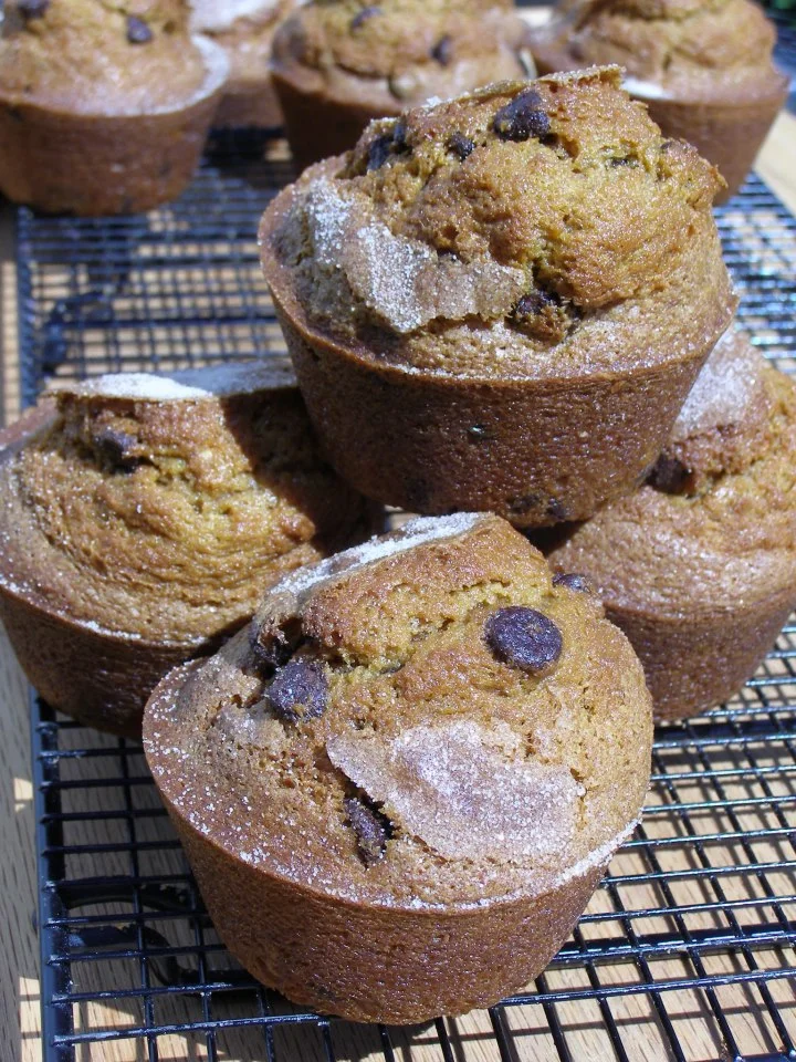 pumpkin muffin