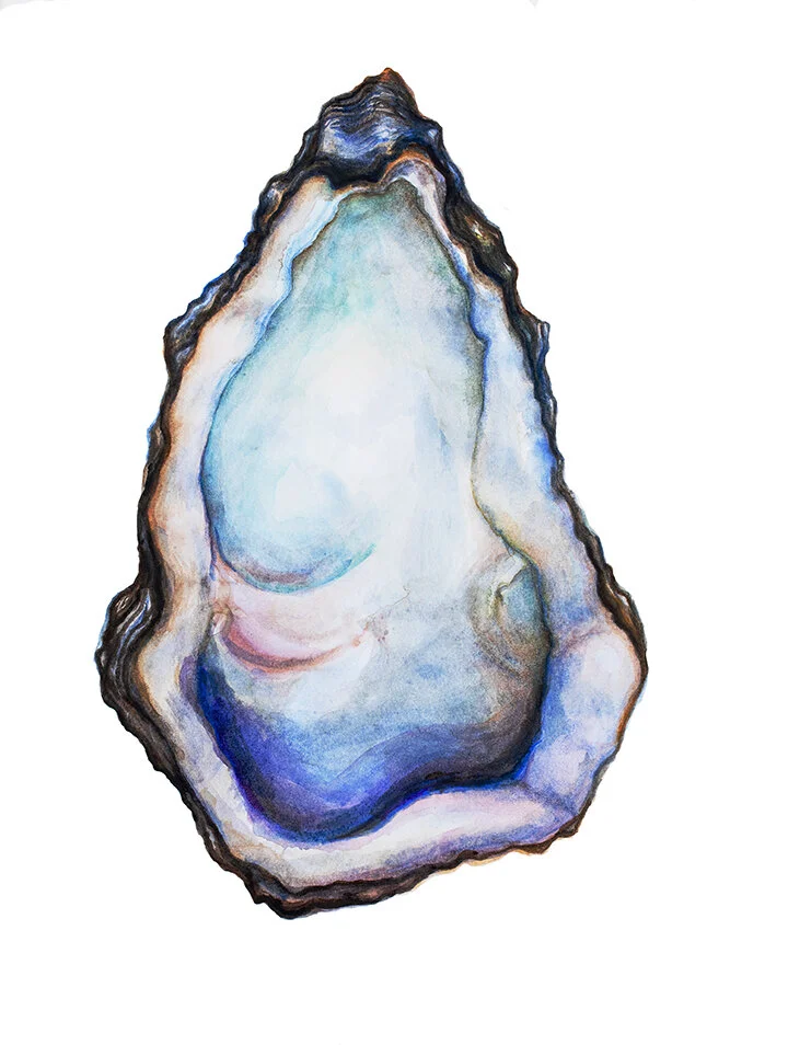 Svelte Blue web copy.jpg