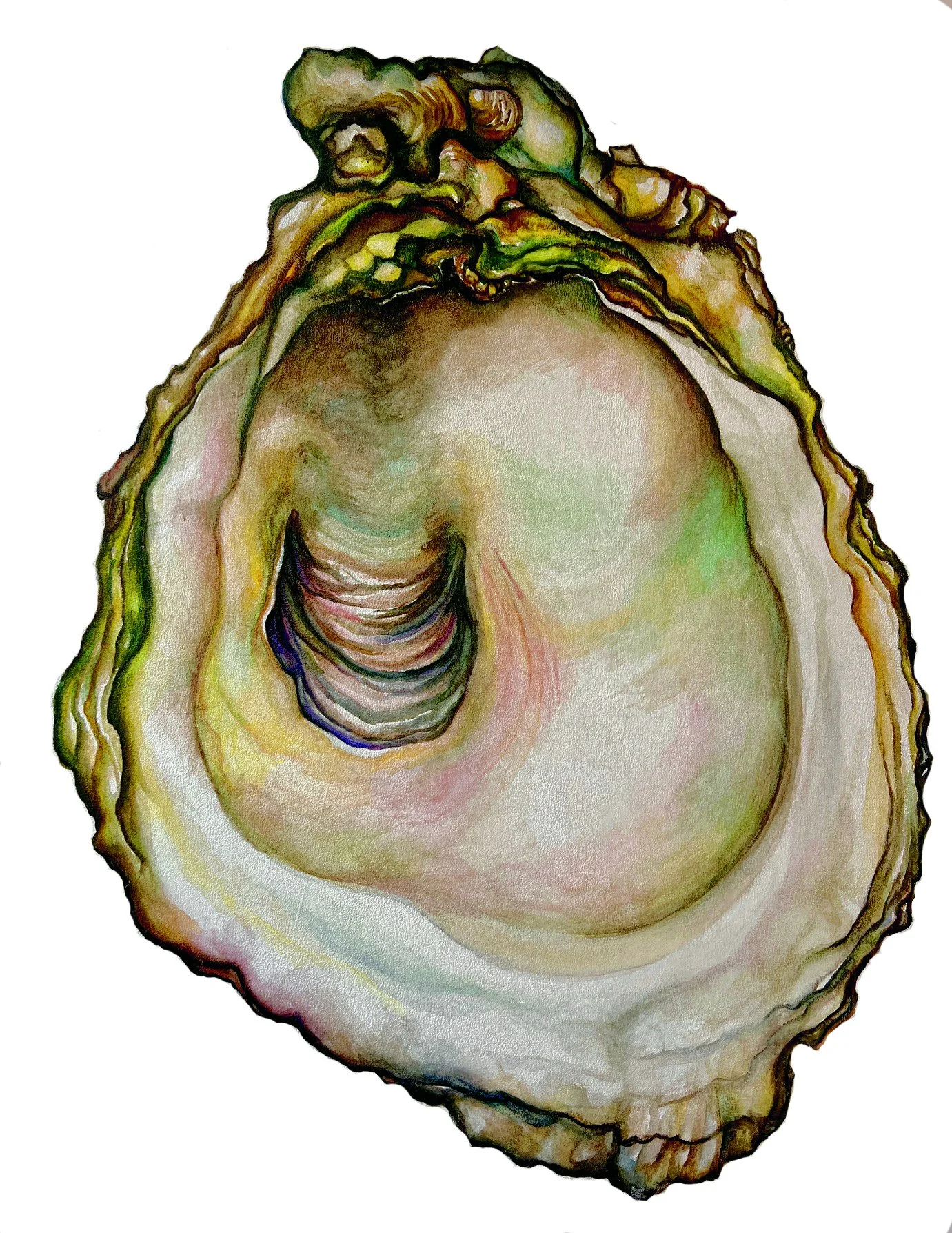 Tisbury Oyster.jpg