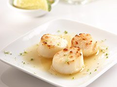 scallops.jpg