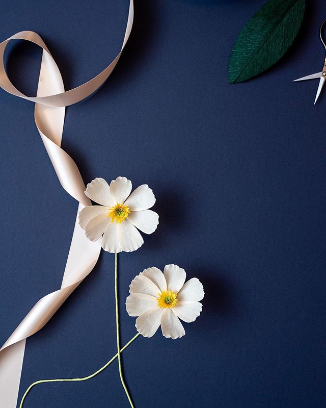 Thrilled to pieces to be teaching a workshop on how to make these dainty cosmos blooms at @skinnydipcharleston later this month!⠀
⠀
Come join me on 11/18 at 5:30pm! We&rsquo;ll be talking all things paper flowers and you&rsquo;ll walk away knowing ho