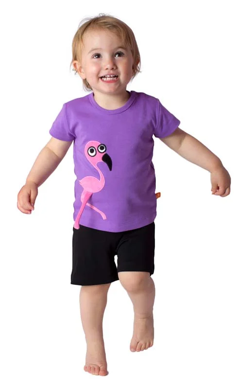 hyacinth_flamingo_kid_lipfish.jpg