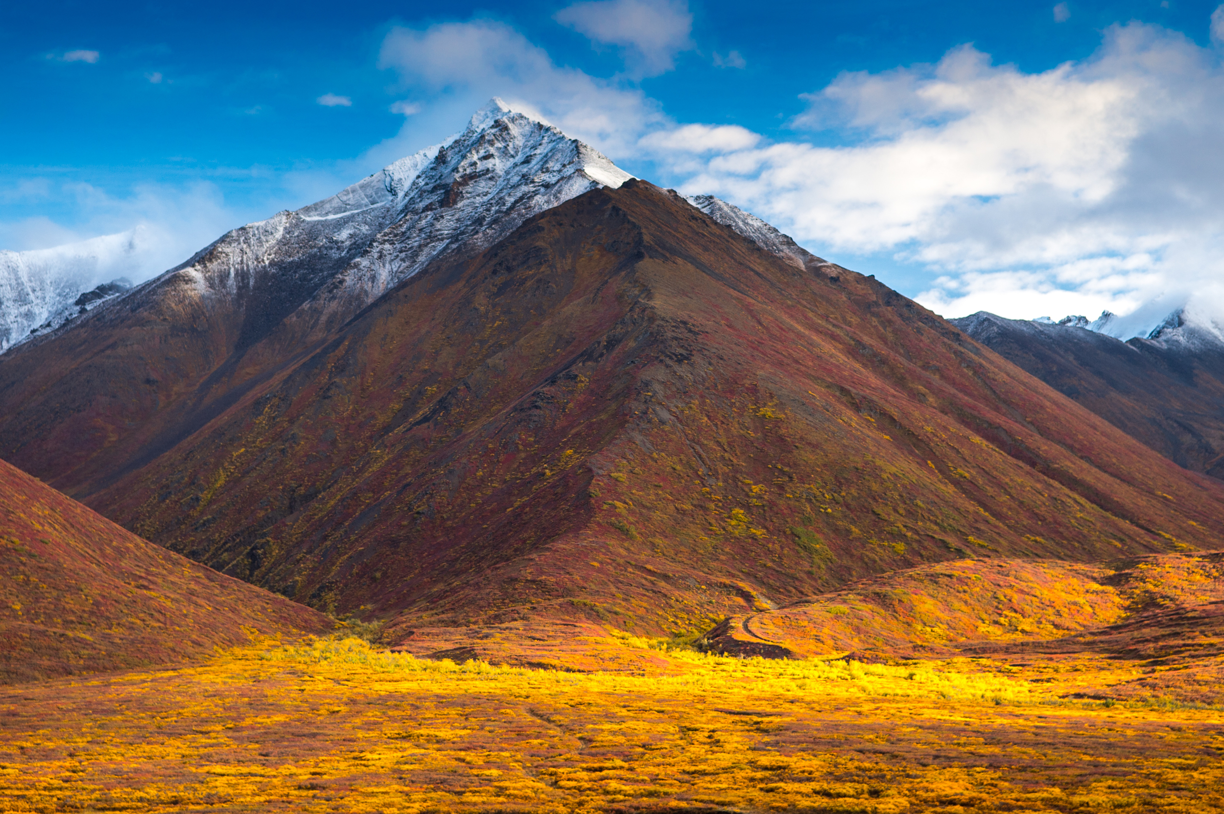 _DSC0498.jpg