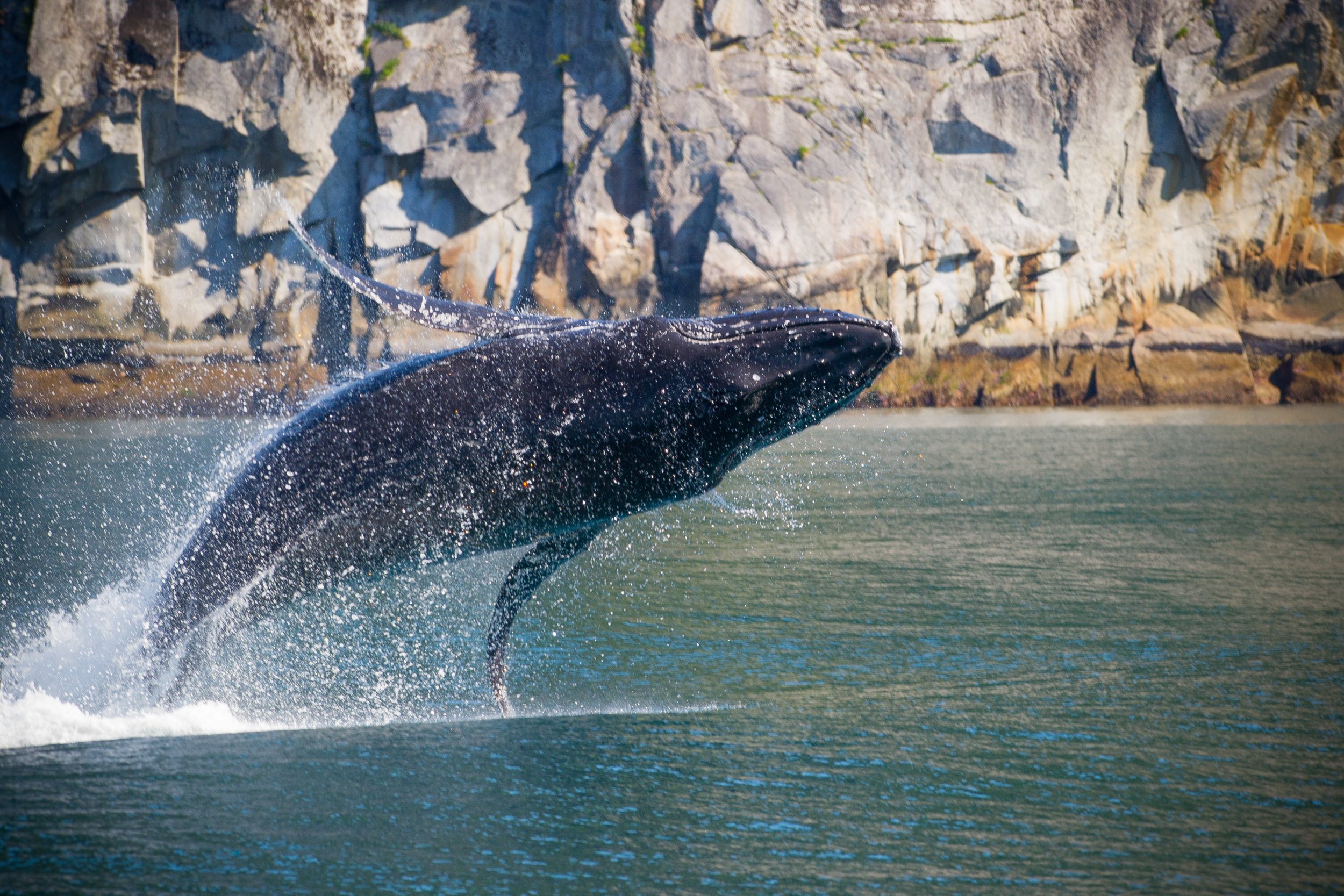 _DSC6529_33330.jpg