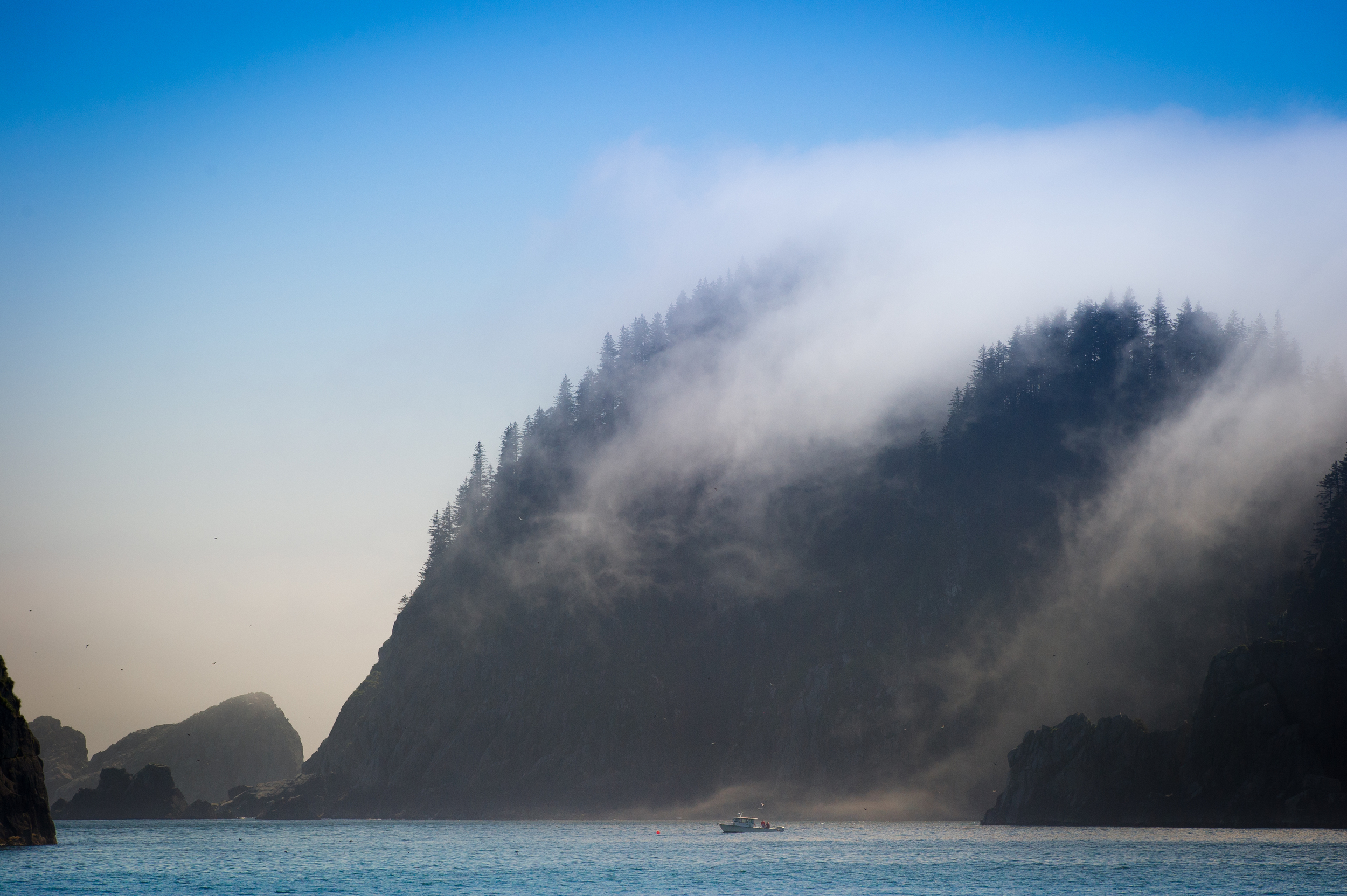 _DSC7075_33821.jpg