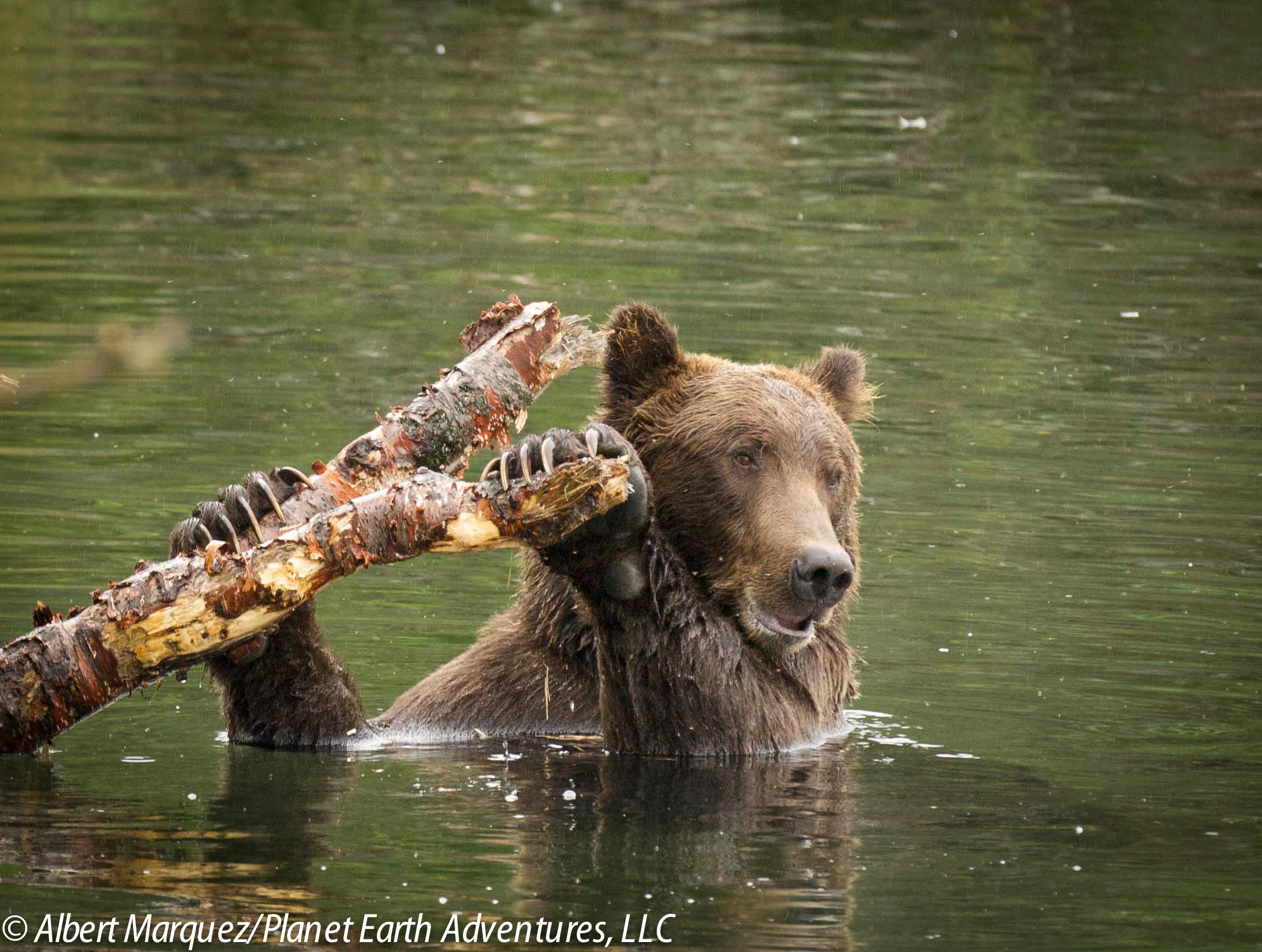 katmai5.jpg