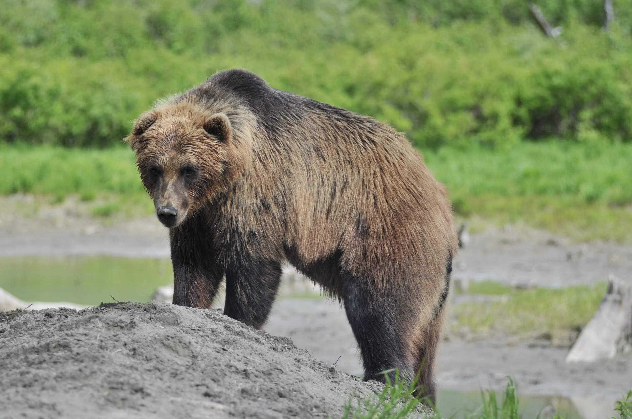 DSC_2270_2730.JPG