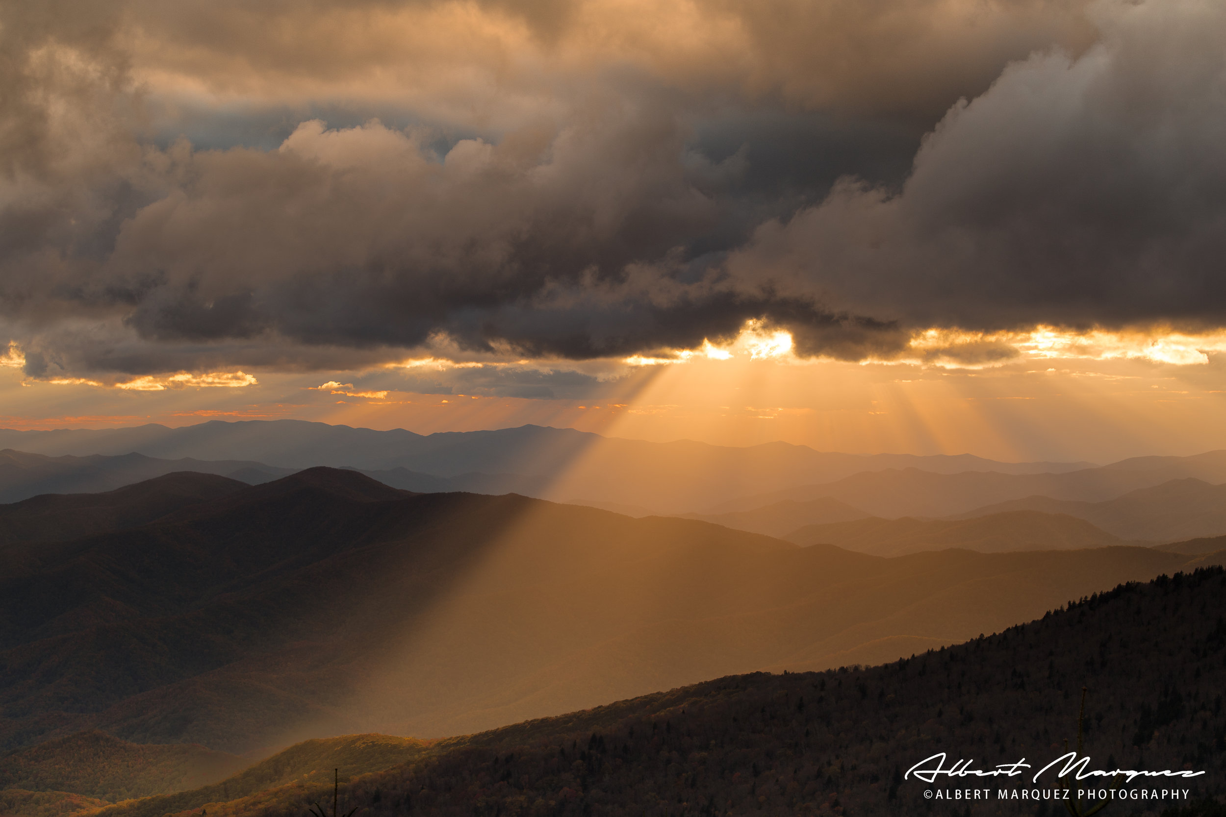 _DSC3740-Edit.jpg