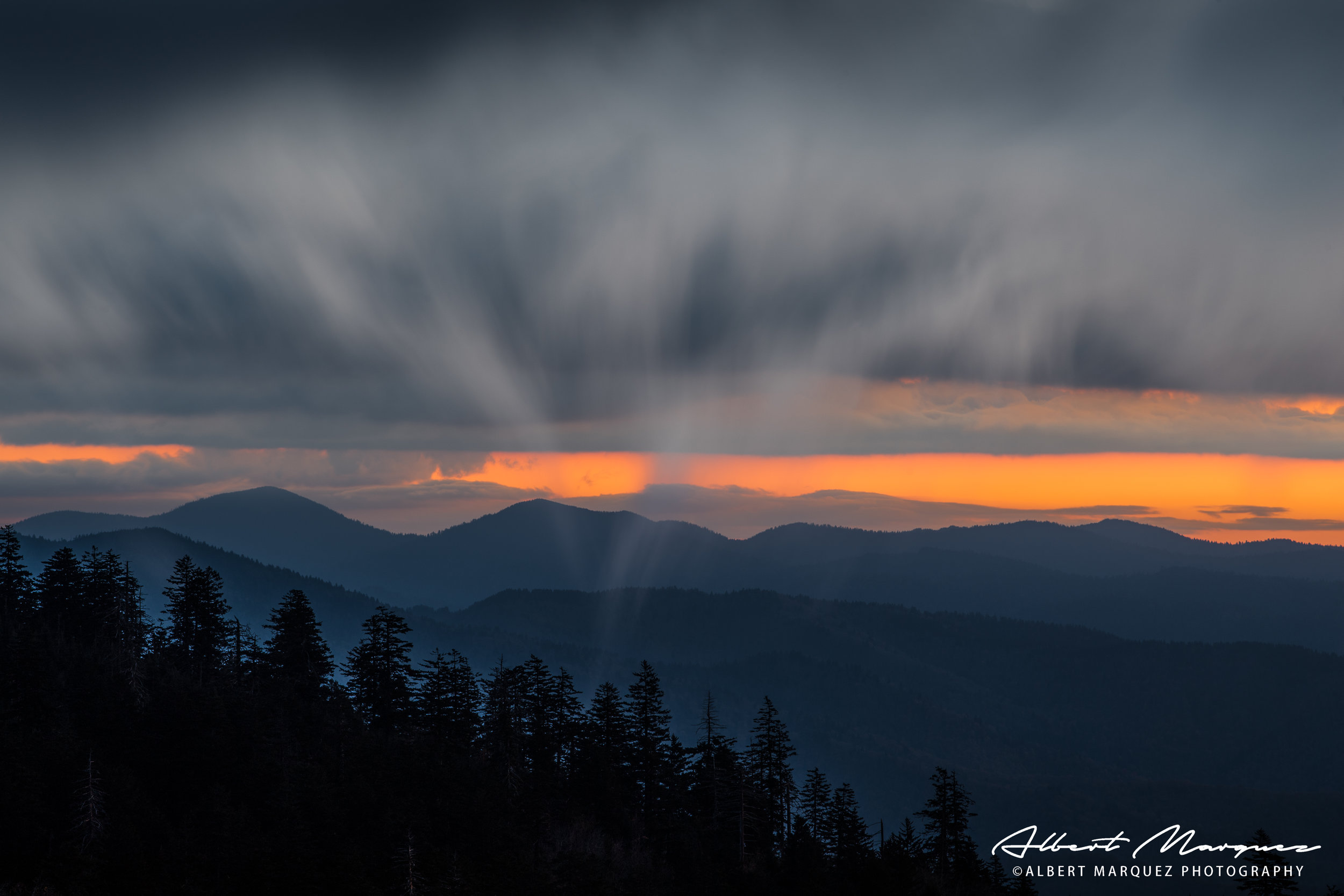 _DSC3475-Edit.jpg