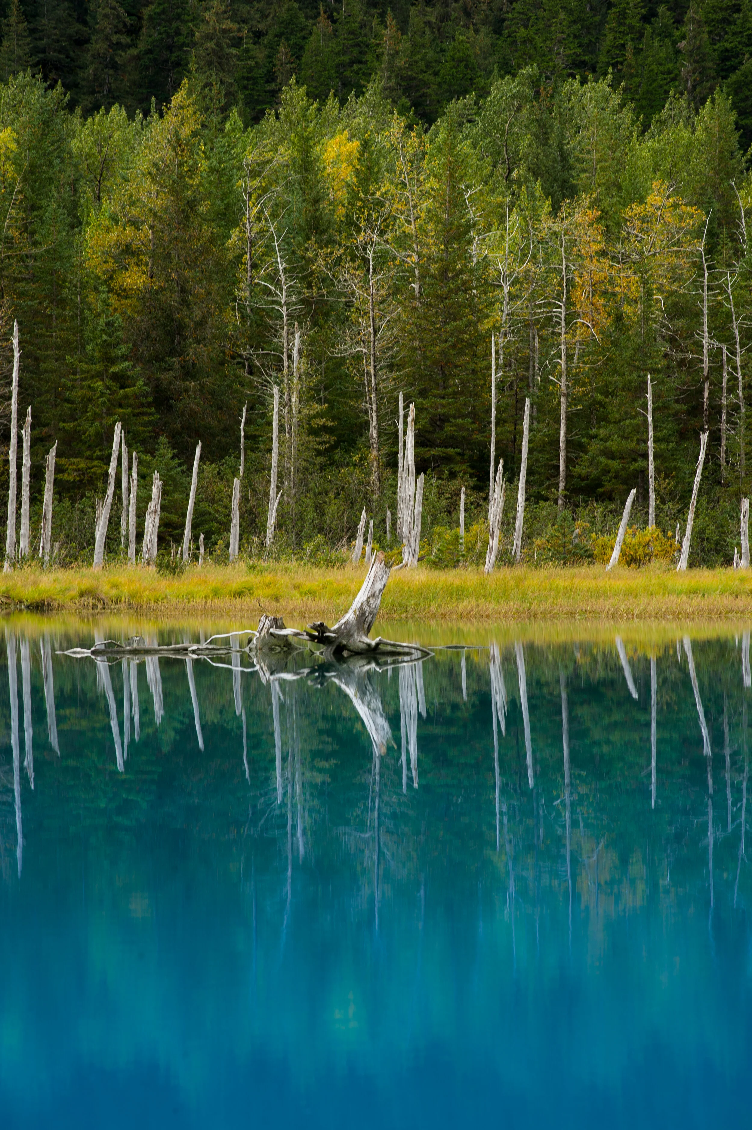 _DSC3791.jpg