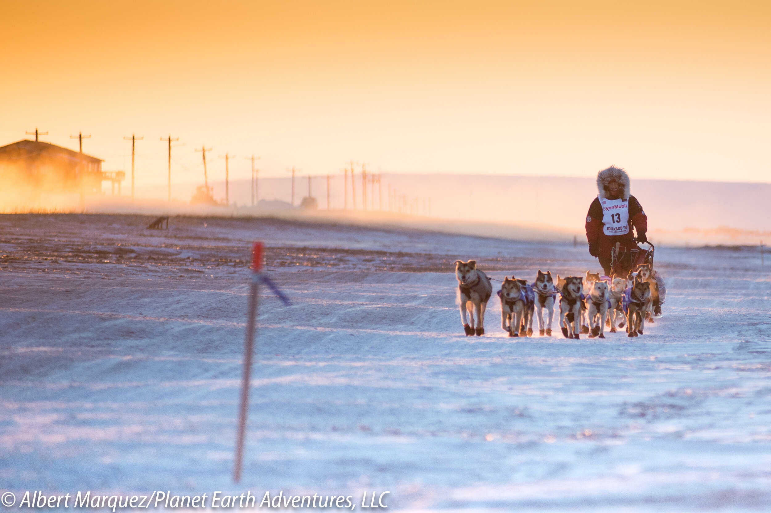 2024 Iditarod & Northern Lights Tour Iditarod Race — Earth