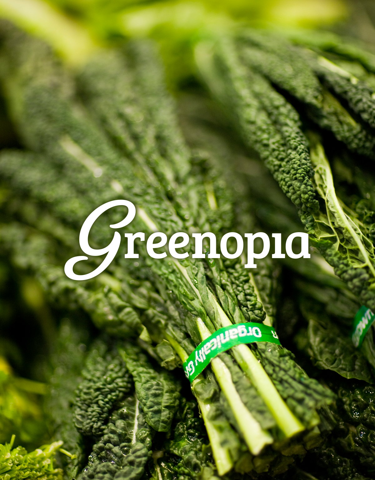 Logo Typography