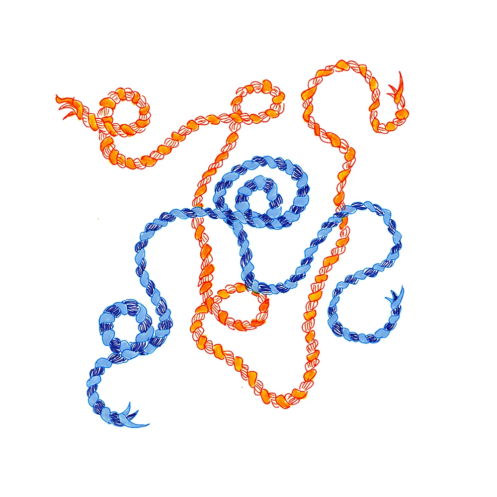a blue blue and an orange stripe
