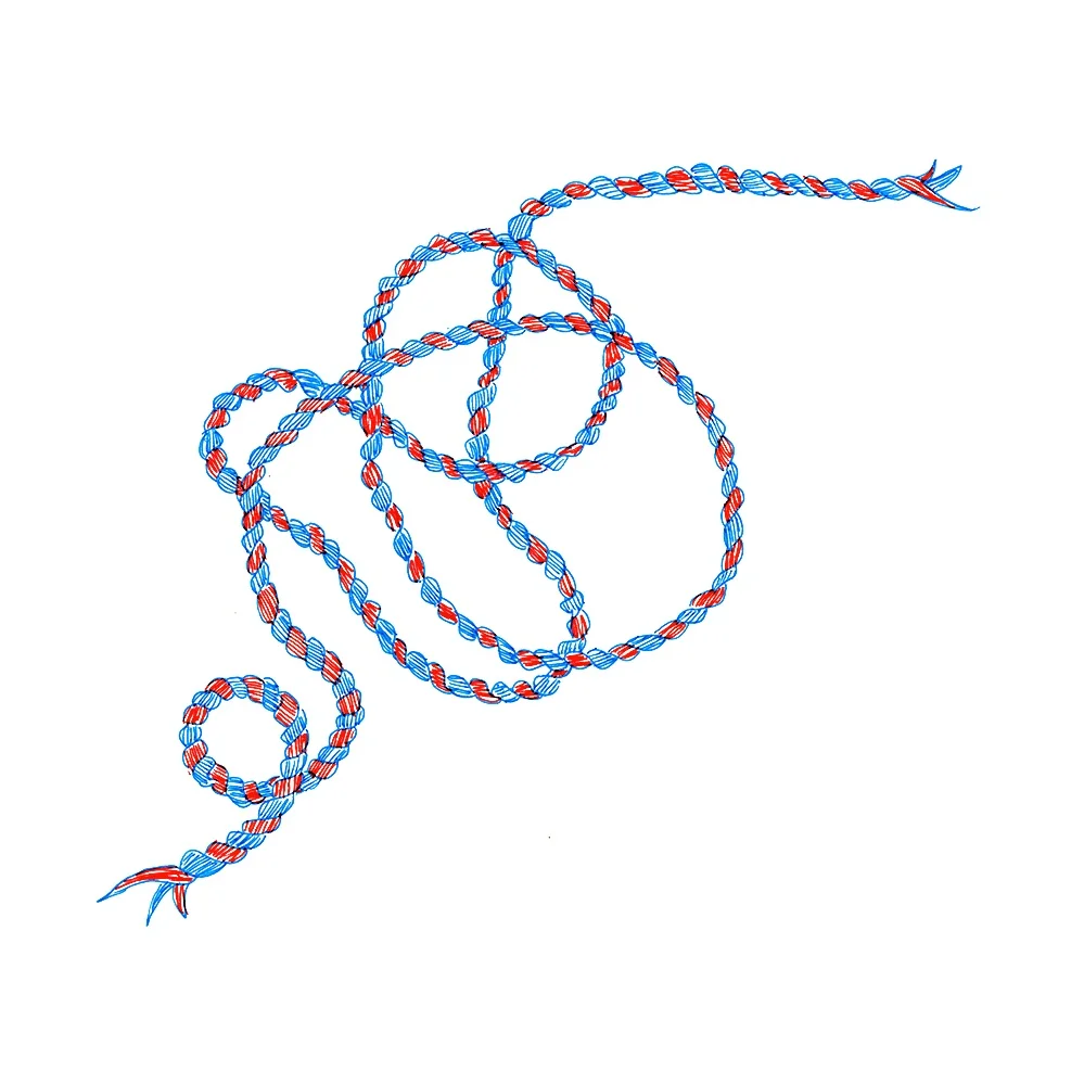 a red and blue striped