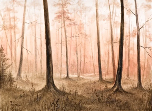 oil painting - november - forest scene.jpg
