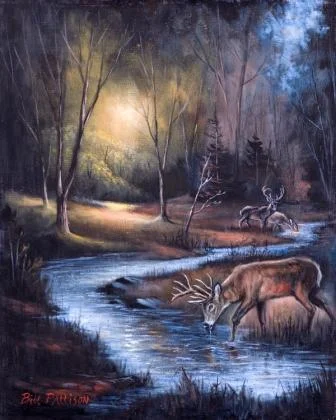 Nocturnal Serenade