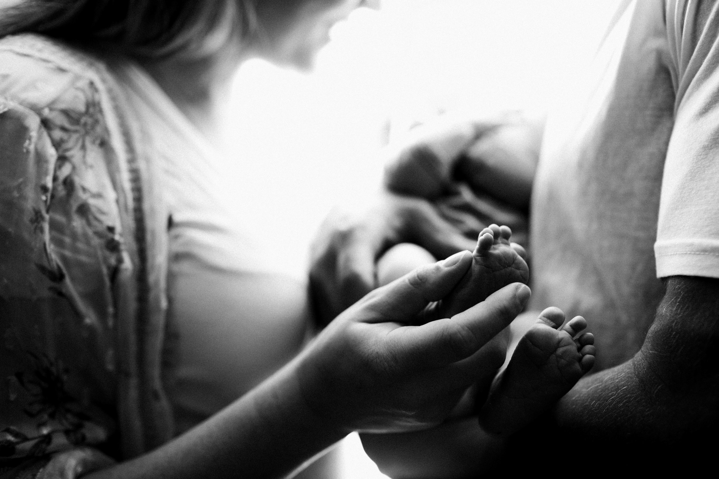 AARENLEEPHOTOGRAPHYLLC-53-36.jpg