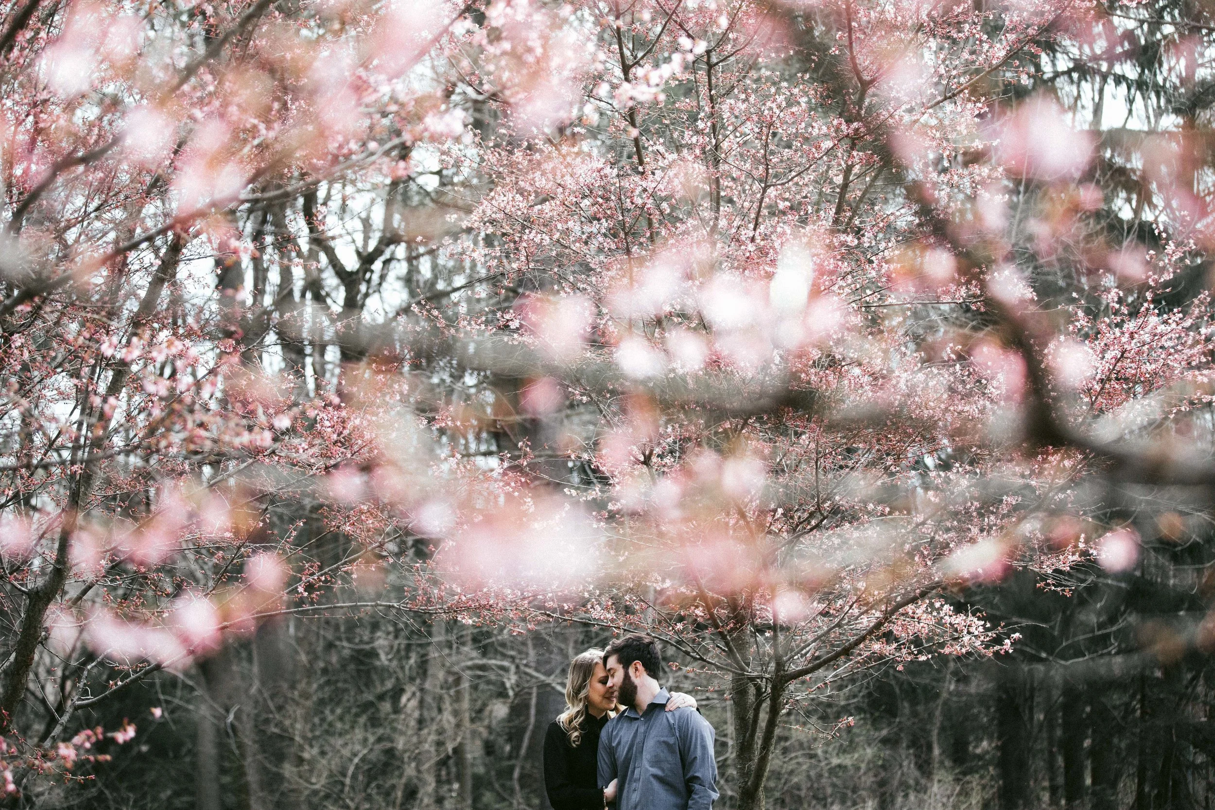 AARENLEEPHOTOGRAPHYLLC-413-17.jpg