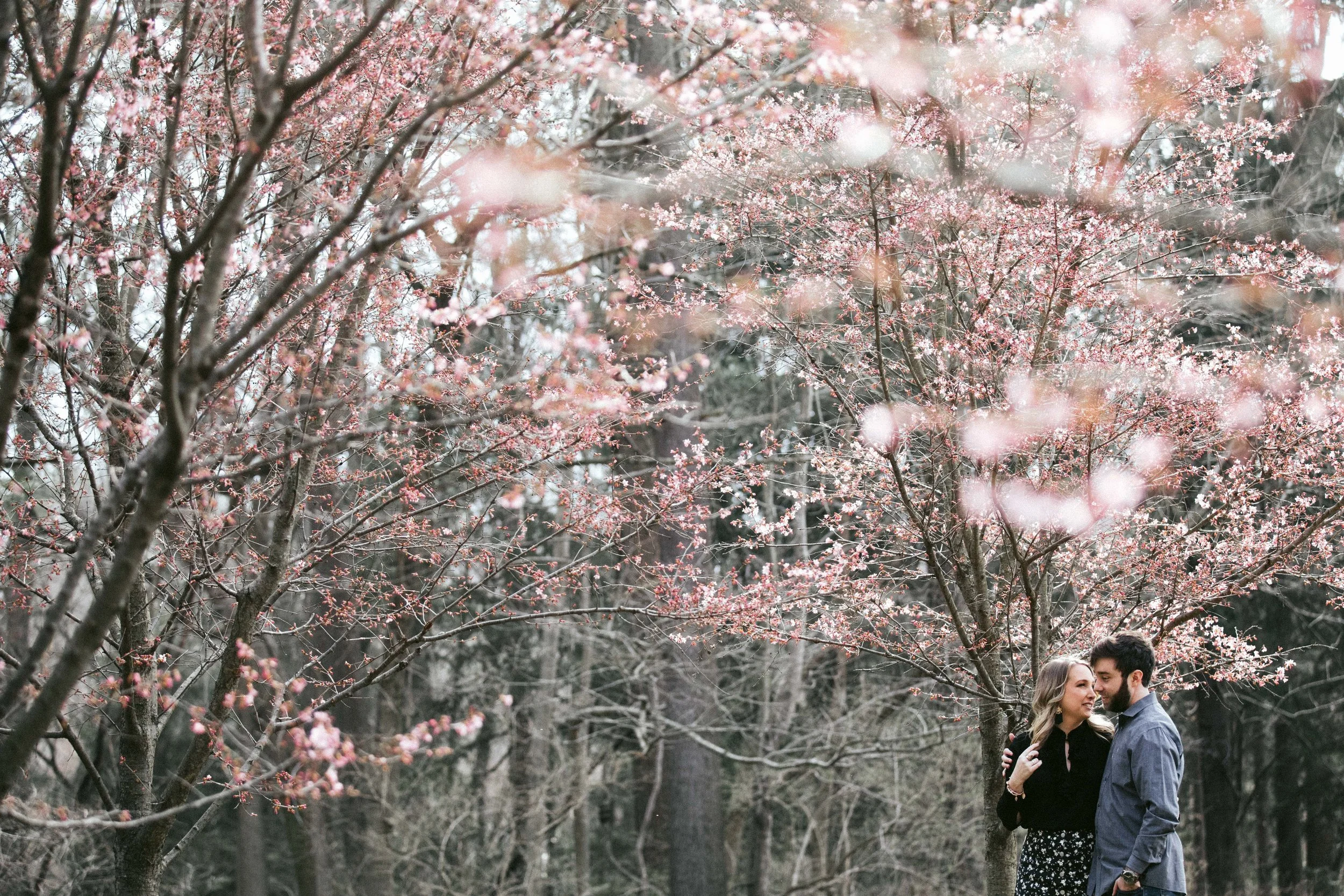 AARENLEEPHOTOGRAPHYLLC-387-16.jpg
