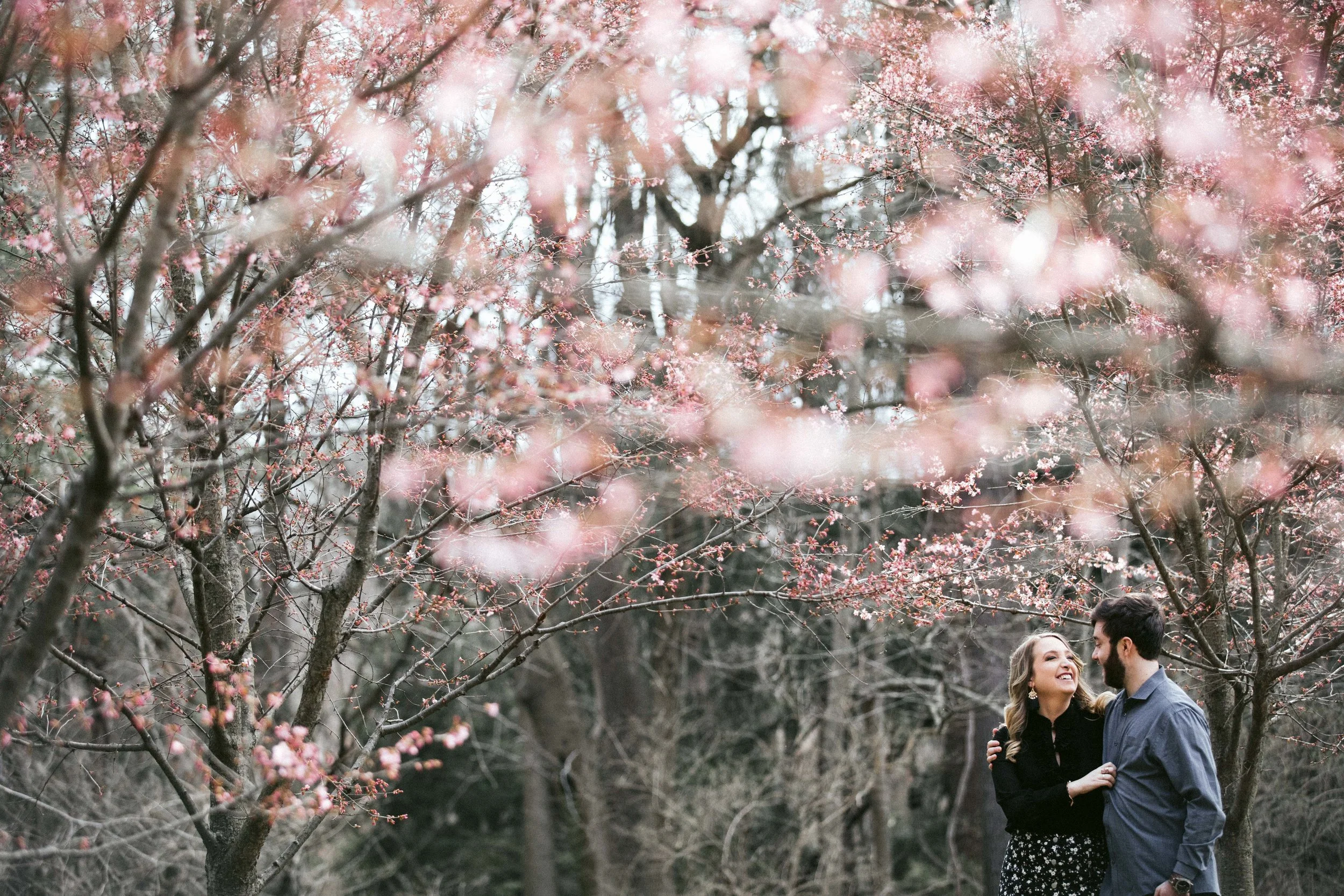 AARENLEEPHOTOGRAPHYLLC-353-13.jpg