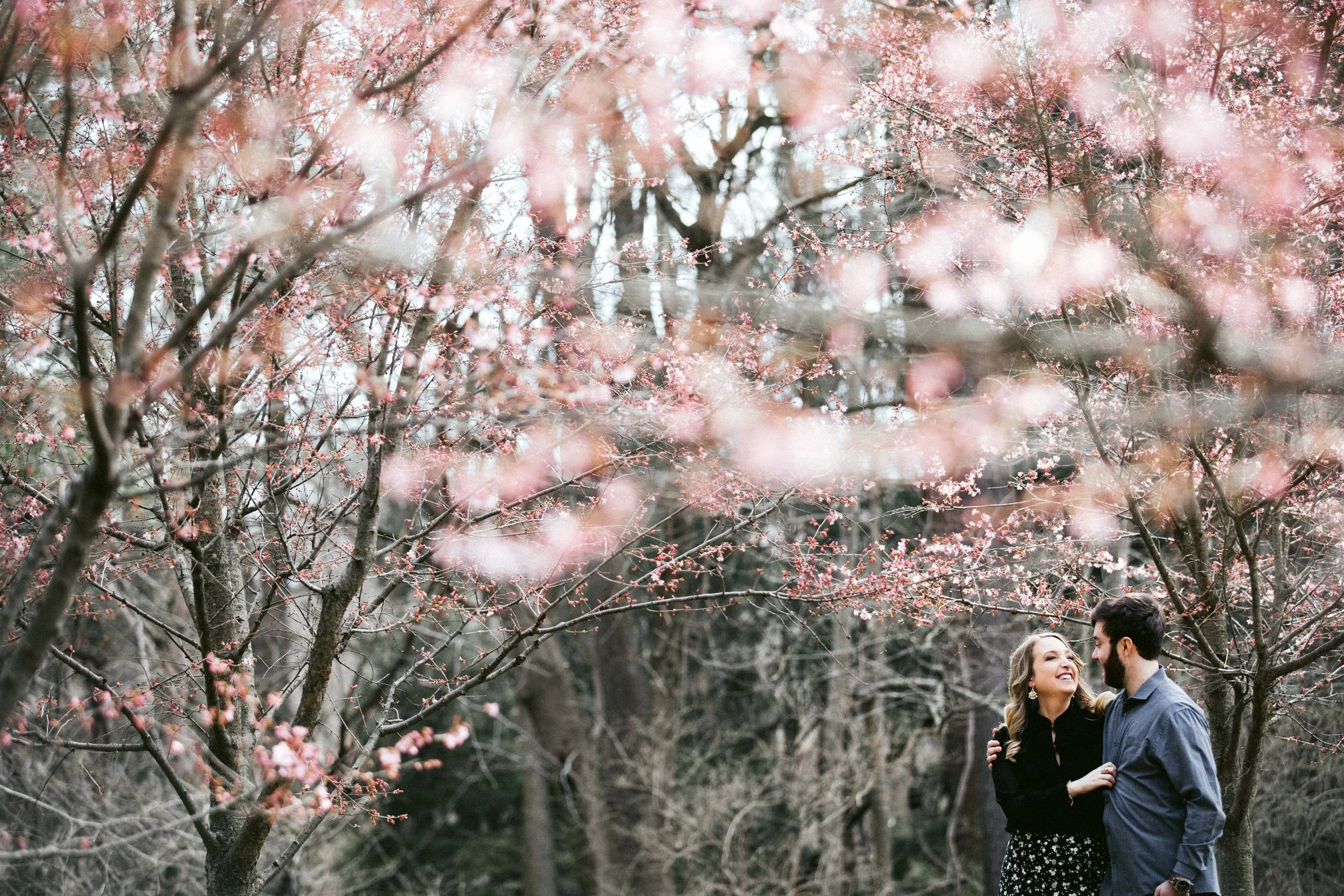 Aaren Lee Photography-1-22.jpg