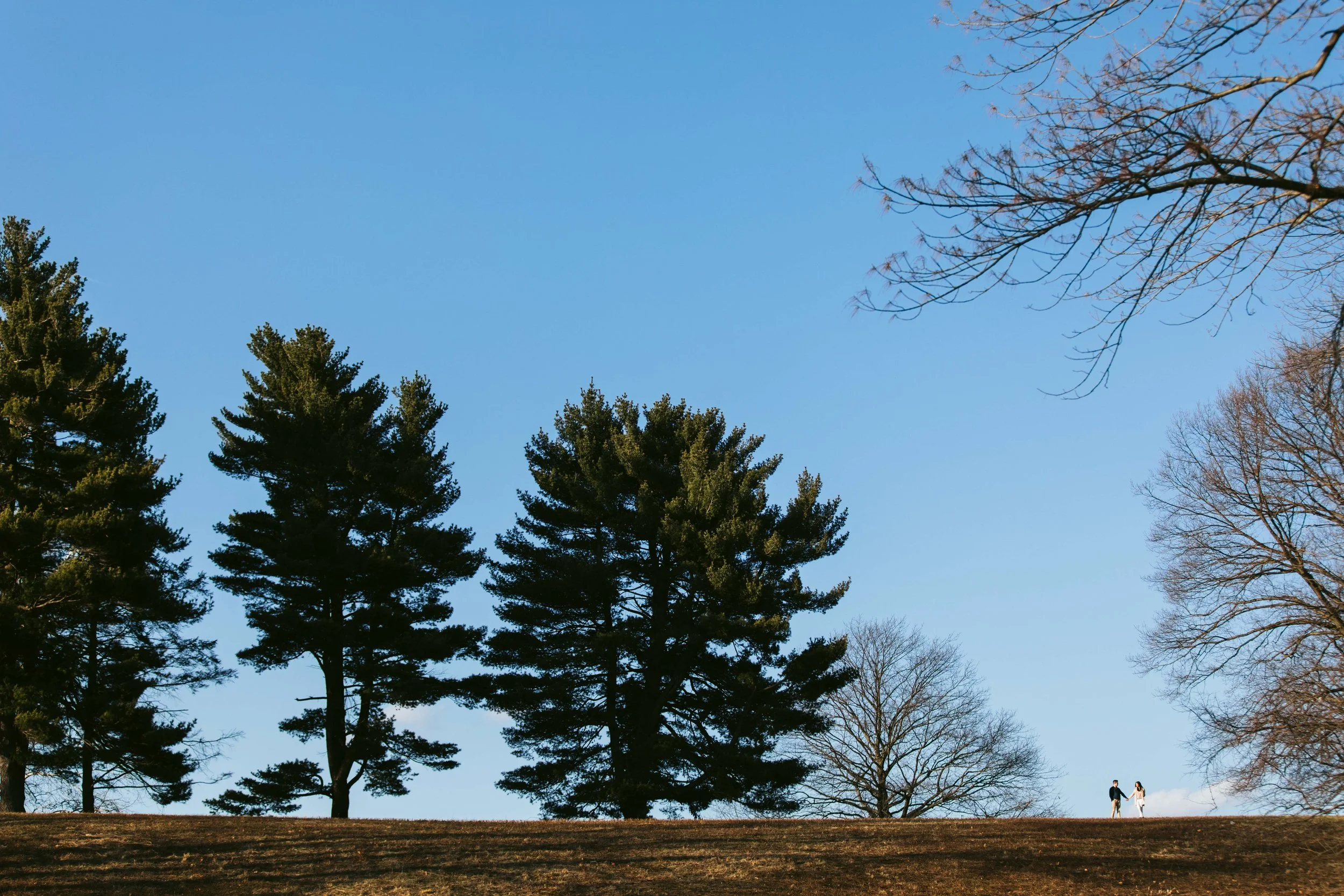 Aaren Lee Photography-1-27.jpg