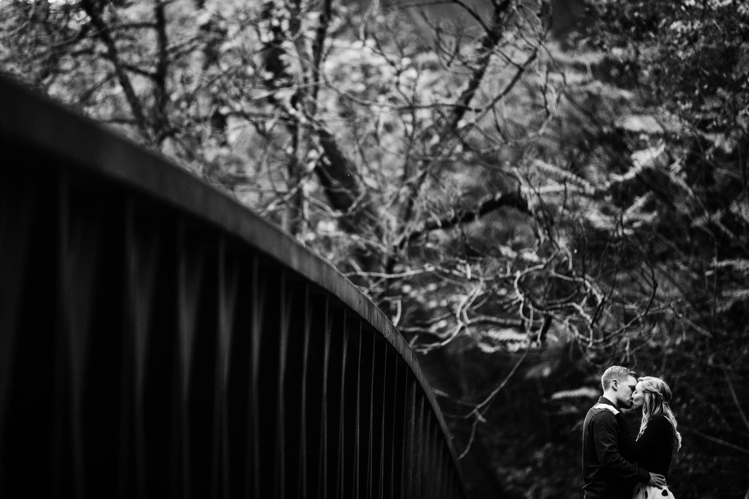 Aaren Lee Photography-1-31.jpg