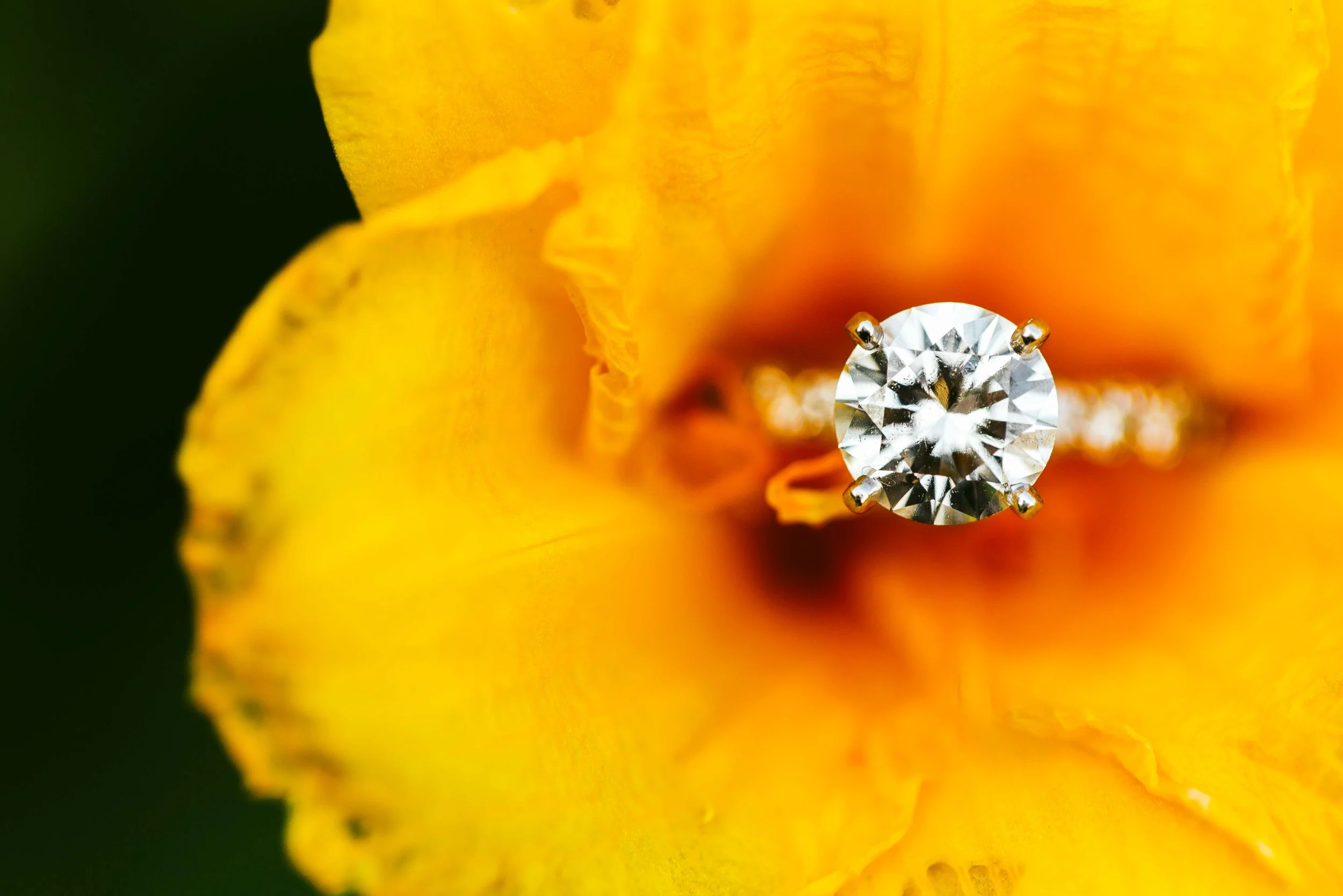 Aaren Lee Photography-1-39.jpg