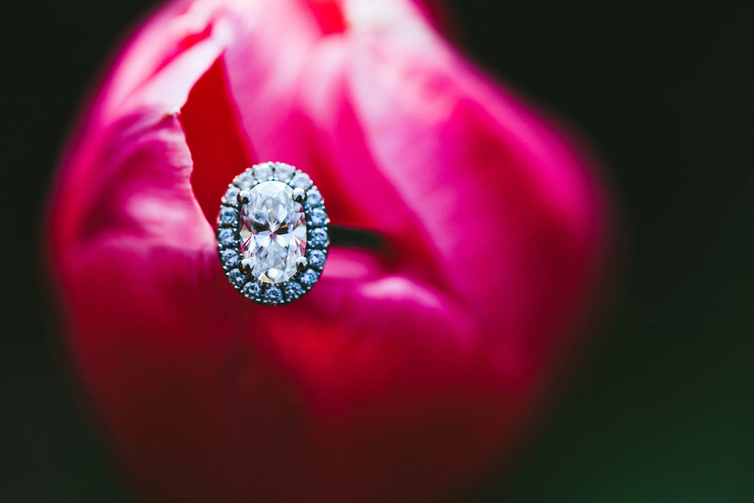 Aaren Lee Photography-1-42.jpg