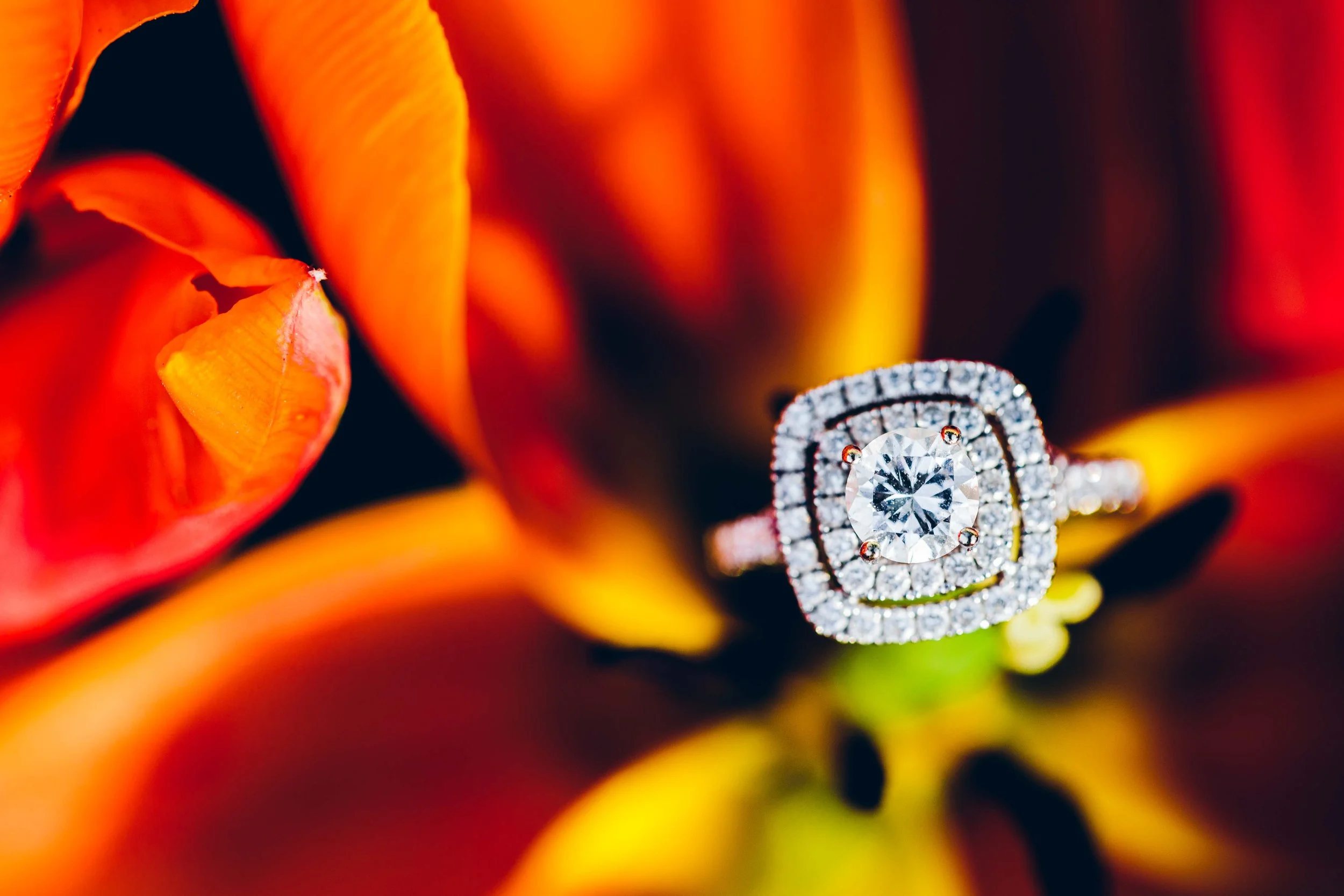 Aaren Lee Photography-1-55.jpg